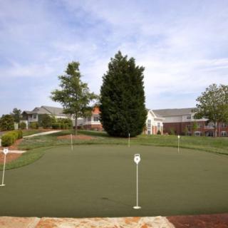 A well-maintained putting green in a residential area with houses and trees in the background.