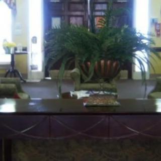 An office interior featuring a large desk with decorative plants and furniture.