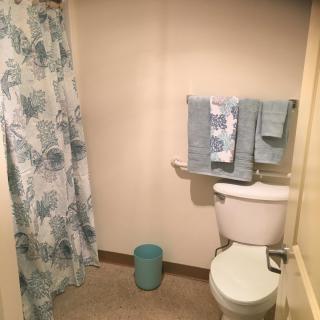 A neatly arranged bathroom with a patterned shower curtain and matching towels.