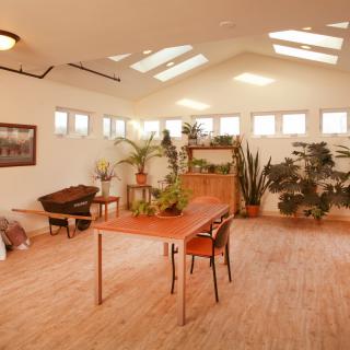 A spacious, sunlit room with wooden flooring and various potted plants.