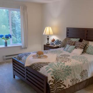 A cozy bedroom with a large bed, elegant bedding, and a side table lamp near a window.