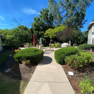 A sunny garden pathway surrounded by lush greenery and trees.