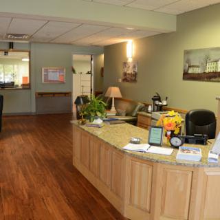 A welcoming reception area with a wooden desk, plants, and a warm ambiance.