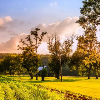 A serene countryside landscape at sunset, featuring lush green fields and silhouetted trees under a vibrant sky.