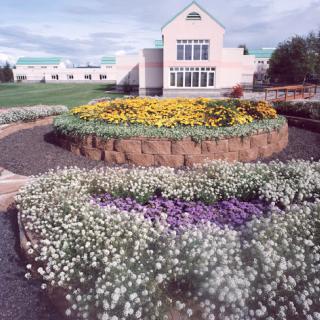 A vibrant garden featuring a variety of blooming flowers with a modern building in the background.
