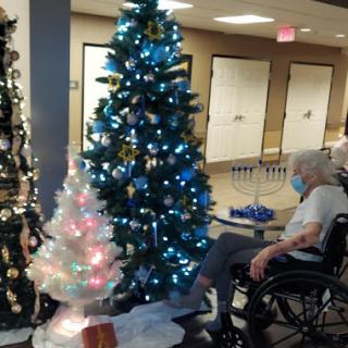 A festive setting with beautifully decorated Christmas trees in a nursing home, featuring an elderly resident in a wheelchair.