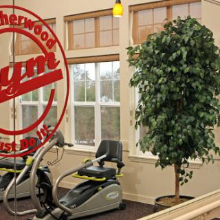 A well-lit gym featuring exercise equipment and a decorative plant.