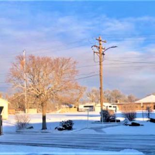 A serene winter scene showcasing snow-covered ground and trees under a clear blue sky.