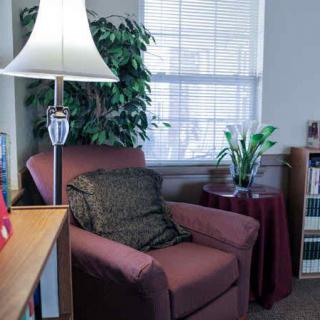 A cozy living room corner with an armchair, lamp, and indoor plants.