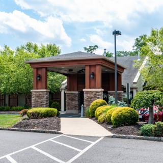A landscaped entrance to a building with trees and shrubs.