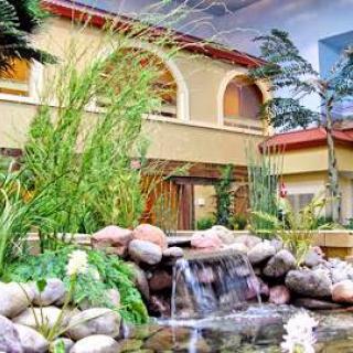 A serene indoor garden featuring a picturesque waterfall and vibrant greenery.