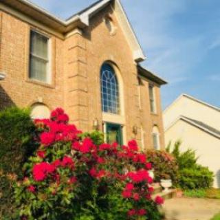 A charming brick house with vibrant red roses in the front yard on a sunny day.