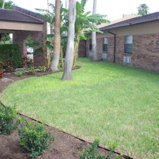 A well-maintained garden with lush grass and trees in a residential setting.