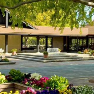 A beautiful house surrounded by a vibrant garden under the shade of trees on a sunny day.