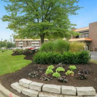 A landscaped garden with a variety of plants and a large tree in front of a building.