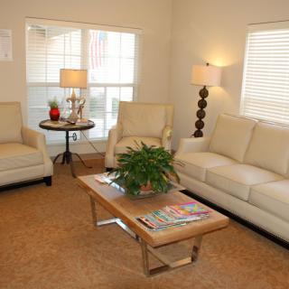 A cozy living room with modern furniture and a potted plant on the coffee table.