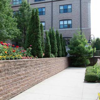 A landscaped garden pathway beside a brick building with shrubs and flowers.