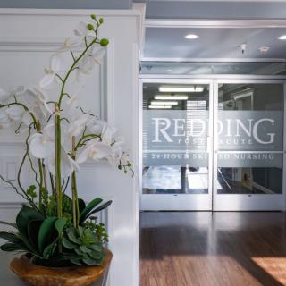 A modern office entrance featuring glass doors and a decorative orchid plant.
