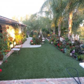 A beautifully landscaped garden with a lush lawn, numerous plants, and a winding pathway.