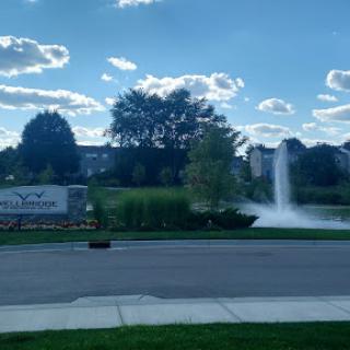 A serene park view featuring a fountain and lush greenery under a cloudy sky.