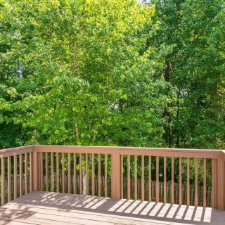 A sunny view from a wooden deck overlooking lush green trees.
