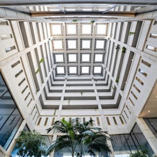 A stunning view of a modern architectural atrium, showcasing intricate ceiling designs and lush greenery.