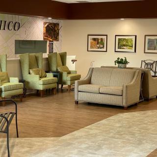 A comfortable waiting area with green chairs, a beige sofa, and decorative paintings on the wall.