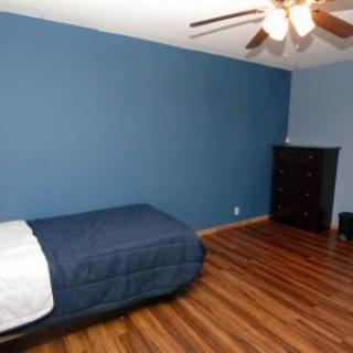 A minimalist bedroom with blue walls, featuring a single bed and wooden flooring.