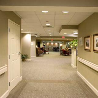 A well-lit hallway with carpeted flooring, framed pictures, and plants.