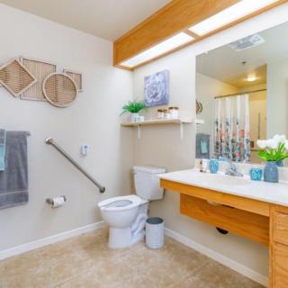 A modern and accessible bathroom with a toilet, sink, mirror, and decorative elements.