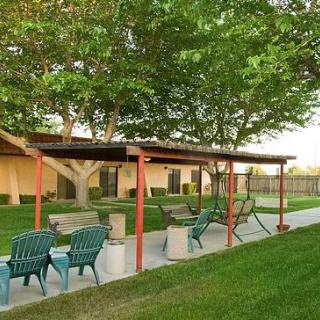 A serene outdoor patio area with chairs and sunshade, surrounded by lush green trees.
