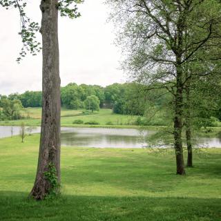 A serene landscape featuring a lake surrounded by lush green grass and trees.
