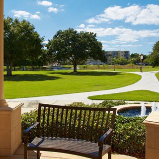 A serene park view featuring a bench, green grass, and a winding pathway under a clear blue sky.