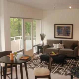 A modern living room with a comfortable sofa, stylish rug, and ample natural light streaming through glass doors.