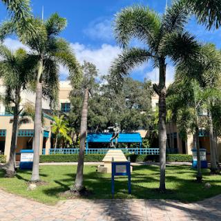 A serene outdoor space featuring palm trees and manicured lawns, framed by modern buildings.