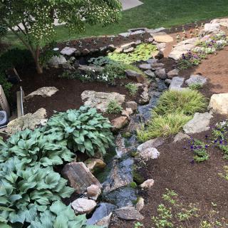 A landscaped garden featuring a small stream surrounded by rocks and lush foliage.