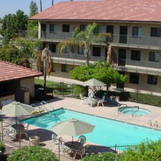 A sunny day at a hotel featuring a refreshing swimming pool surrounded by palm trees and comfortable seating.