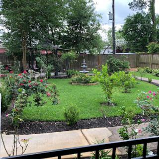 A serene garden with lush greenery, blooming flowers, and a peaceful fountain.