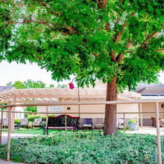 A tranquil backyard scene featuring a large tree, patio furniture, and lush greenery.