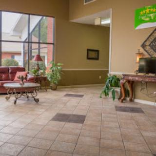 A welcoming lobby featuring comfortable seating and decorative plants.