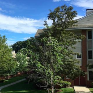 The Springs at Fountainview