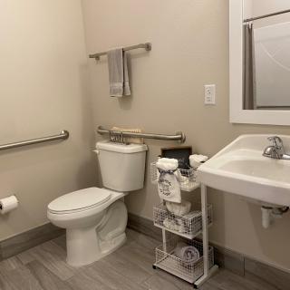 A clean and organized bathroom with a toilet, sink, and handrails.