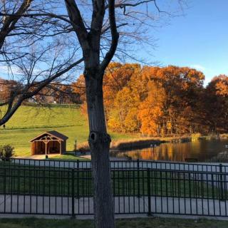 A serene park scene featuring autumn foliage, a calm lake, and a small wooden pavilion.