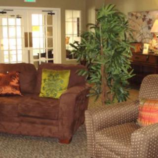 A cozy living room setup featuring a brown sofa, an armchair, decorative cushions, and potted plants.