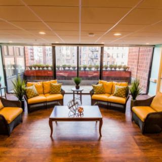 A cozy living room with large windows, featuring comfortable sofas and a coffee table surrounded by indoor plants.
