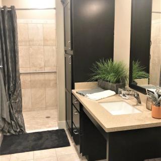 A modern bathroom featuring a sink with a mirror, tiled shower area, and potted plant on the counter.