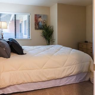 A cozy bedroom featuring a comfortable bed and natural lighting.