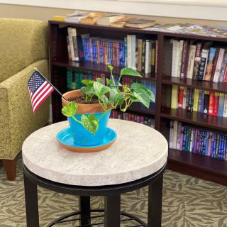 A cozy library corner with a potted plant and an American flag on a small table in front of a bookshelf.