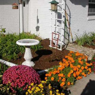 A garden scene featuring a bird bath surrounded by colorful flowers and a trellis against a white brick wall.