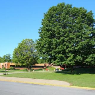 A sunny day with a building surrounded by lush trees and a well-maintained lawn.